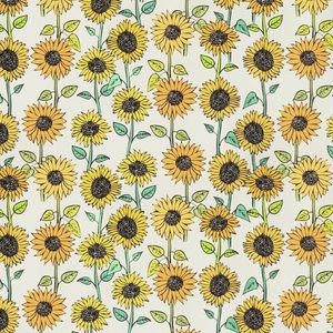 Meet your Posher, Nat